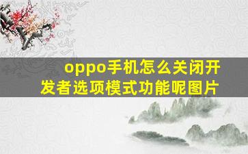 oppo手机怎么关闭开发者选项模式功能呢图片