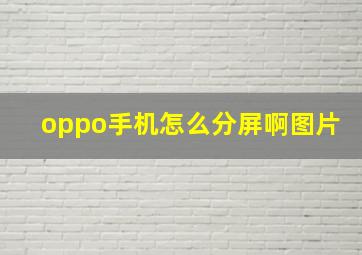 oppo手机怎么分屏啊图片