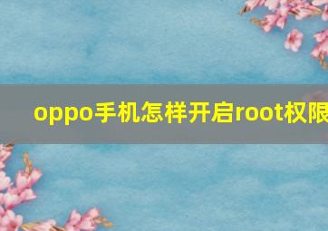 oppo手机怎样开启root权限