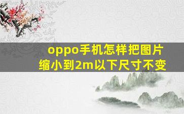 oppo手机怎样把图片缩小到2m以下尺寸不变