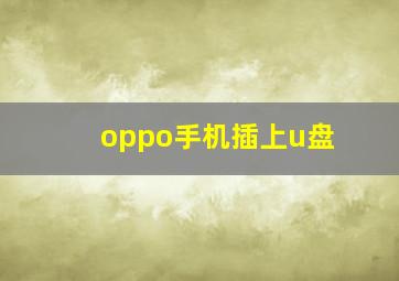 oppo手机插上u盘