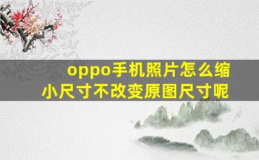 oppo手机照片怎么缩小尺寸不改变原图尺寸呢