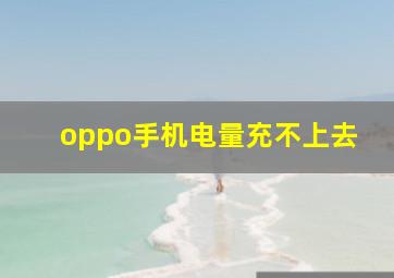 oppo手机电量充不上去