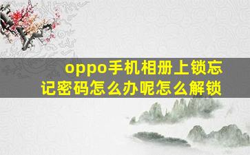 oppo手机相册上锁忘记密码怎么办呢怎么解锁