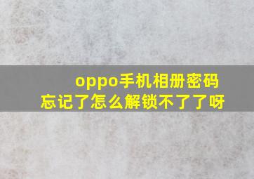 oppo手机相册密码忘记了怎么解锁不了了呀