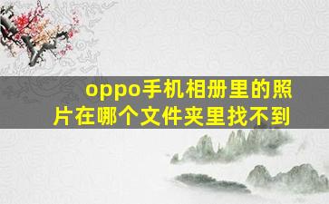 oppo手机相册里的照片在哪个文件夹里找不到