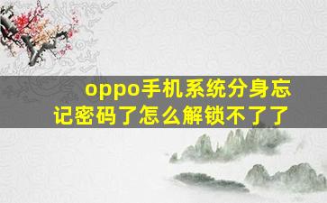 oppo手机系统分身忘记密码了怎么解锁不了了