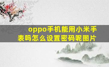 oppo手机能用小米手表吗怎么设置密码呢图片