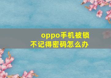 oppo手机被锁不记得密码怎么办