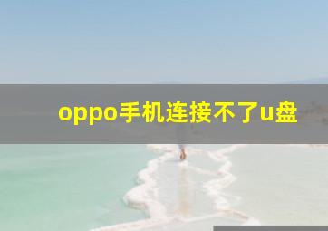 oppo手机连接不了u盘