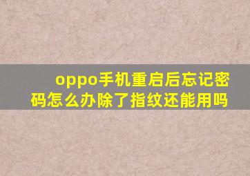 oppo手机重启后忘记密码怎么办除了指纹还能用吗