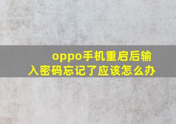 oppo手机重启后输入密码忘记了应该怎么办