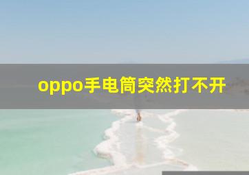 oppo手电筒突然打不开