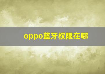 oppo蓝牙权限在哪