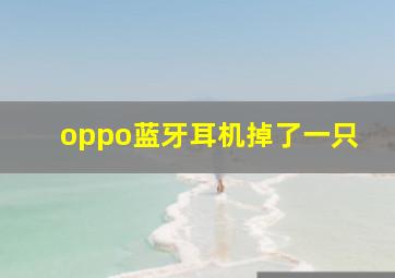 oppo蓝牙耳机掉了一只