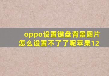 oppo设置键盘背景图片怎么设置不了了呢苹果12