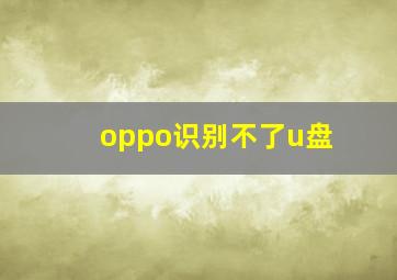 oppo识别不了u盘