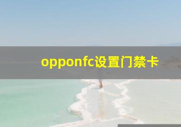 opponfc设置门禁卡