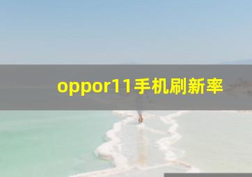 oppor11手机刷新率