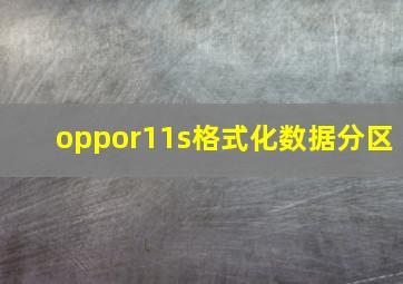 oppor11s格式化数据分区