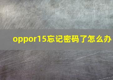 oppor15忘记密码了怎么办