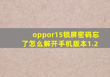 oppor15锁屏密码忘了怎么解开手机版本1.2