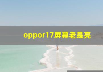 oppor17屏幕老是亮