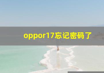 oppor17忘记密码了