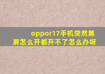 oppor17手机突然黑屏怎么开都开不了怎么办呀