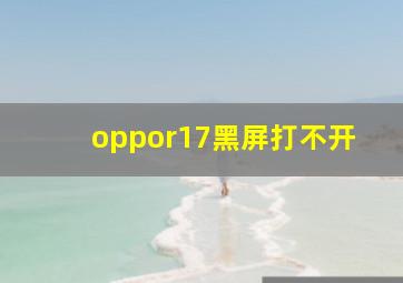 oppor17黑屏打不开