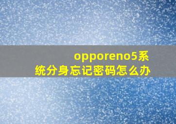 opporeno5系统分身忘记密码怎么办