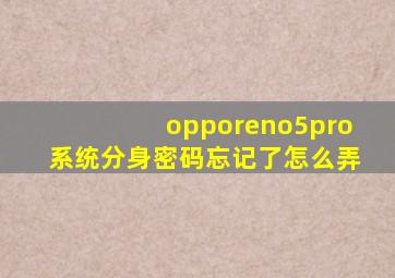 opporeno5pro系统分身密码忘记了怎么弄