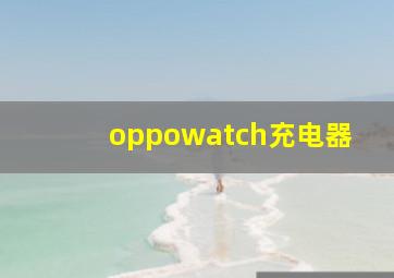 oppowatch充电器