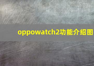 oppowatch2功能介绍图