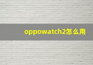 oppowatch2怎么用