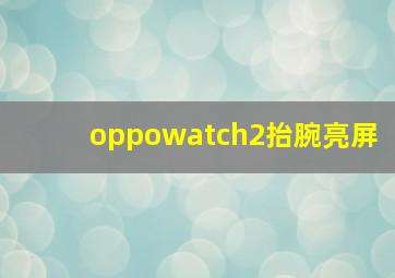 oppowatch2抬腕亮屏