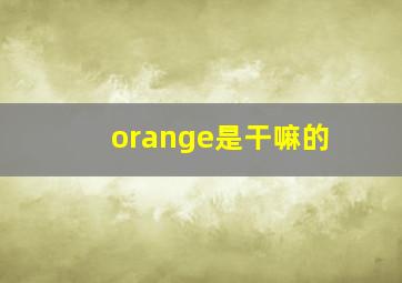 orange是干嘛的