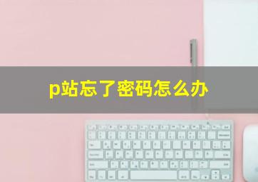 p站忘了密码怎么办