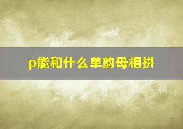 p能和什么单韵母相拼