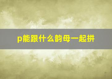 p能跟什么韵母一起拼