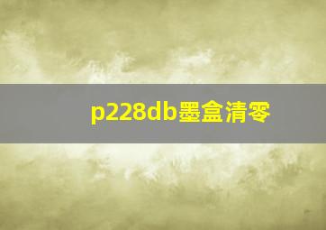 p228db墨盒清零