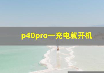 p40pro一充电就开机