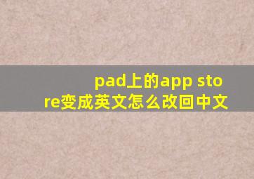 pad上的app store变成英文怎么改回中文