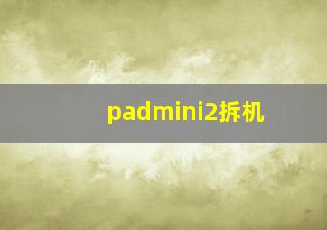 padmini2拆机