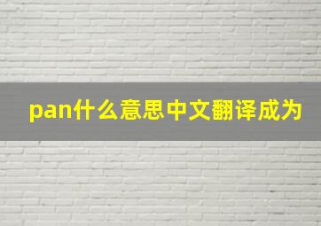 pan什么意思中文翻译成为