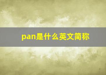 pan是什么英文简称