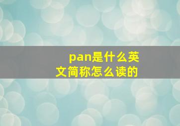 pan是什么英文简称怎么读的