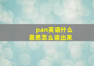 pan英语什么意思怎么读出来