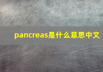 pancreas是什么意思中文