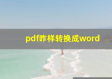 pdf咋样转换成word